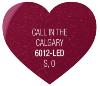 VERNIS GEL SEMI PERMANENT  : Call in the Calgary