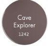 GEL COULEUR SEMI PERMANENT Cave Explorer 7g