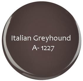 GEL COULEUR SEMI PERMANENT Italian Greyhound 3.6g